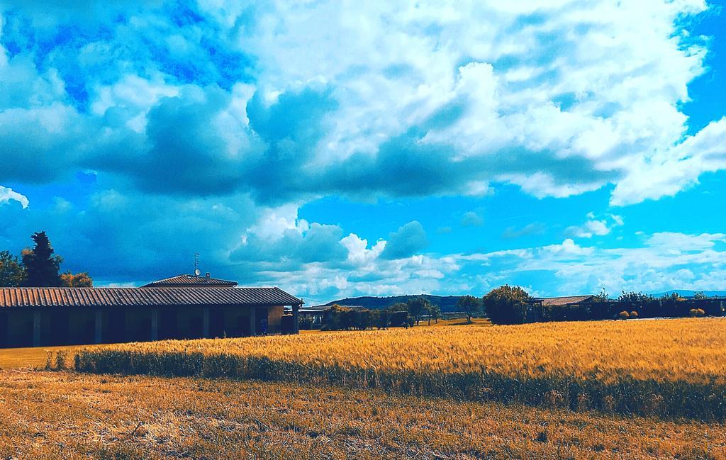 Agriturismo Giuncola & Granaiolo Rispescia Zewnętrze zdjęcie