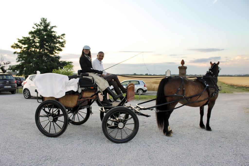 Agriturismo Giuncola & Granaiolo Rispescia Zewnętrze zdjęcie