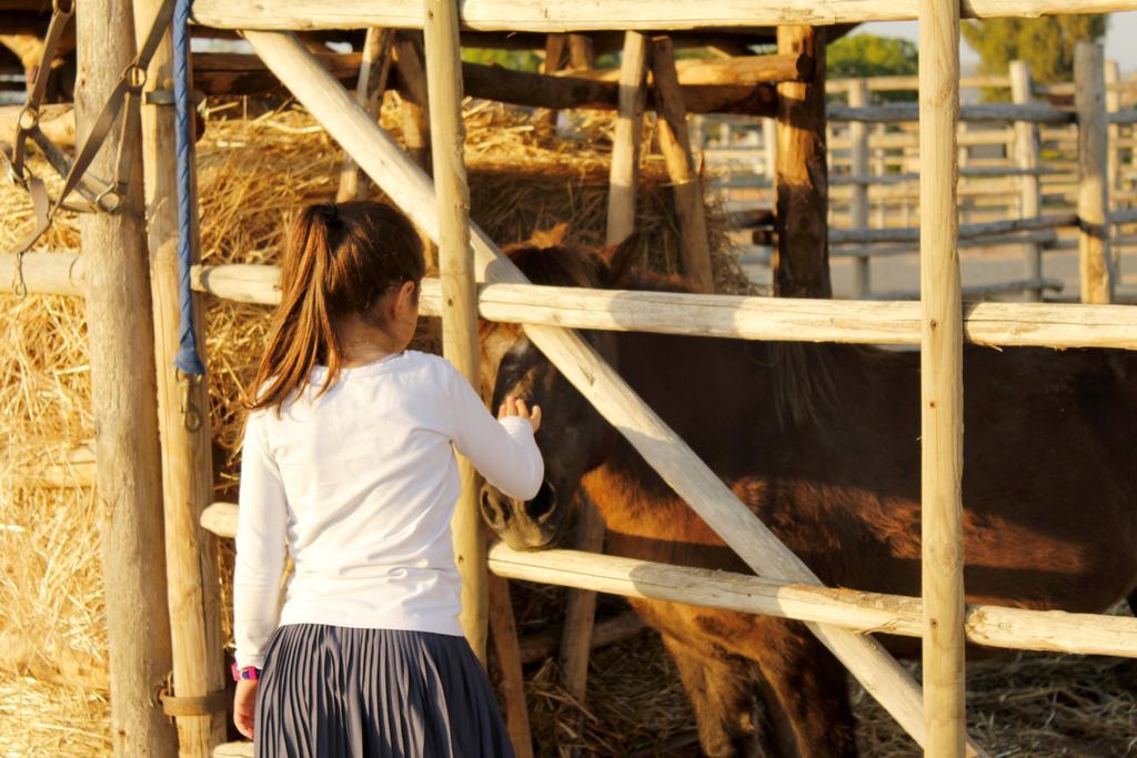 Agriturismo Giuncola & Granaiolo Rispescia Zewnętrze zdjęcie