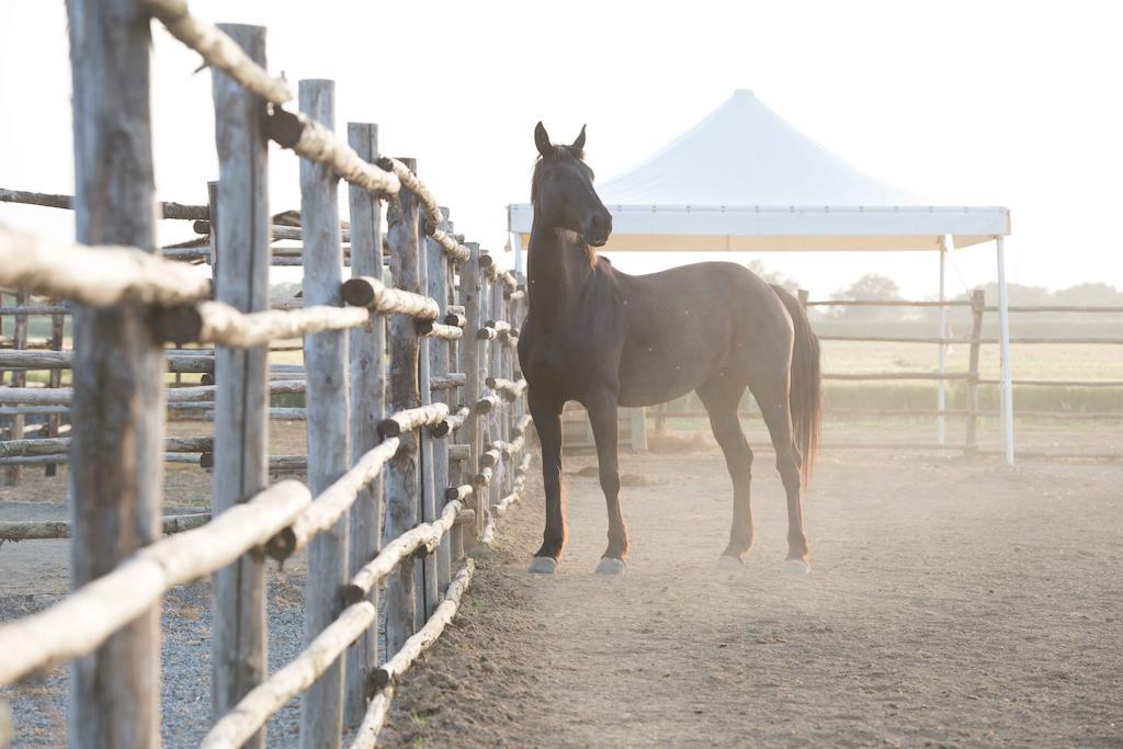 Agriturismo Giuncola & Granaiolo Rispescia Zewnętrze zdjęcie