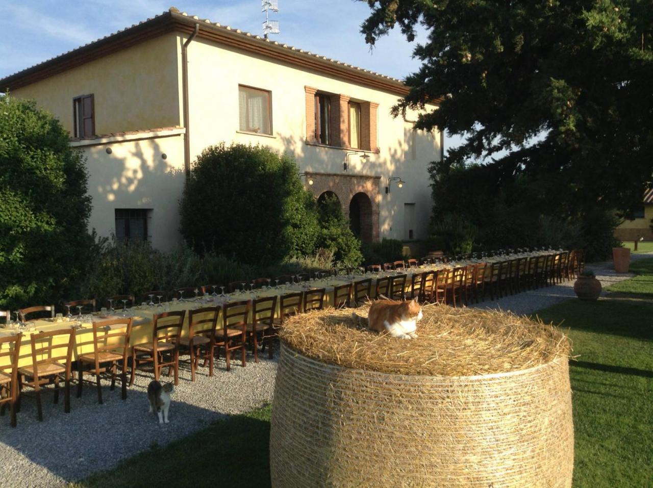Agriturismo Giuncola & Granaiolo Rispescia Zewnętrze zdjęcie